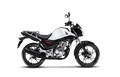 Honda CG 160 Cargo