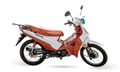 PHOENIX S
