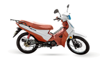 PHOENIX S