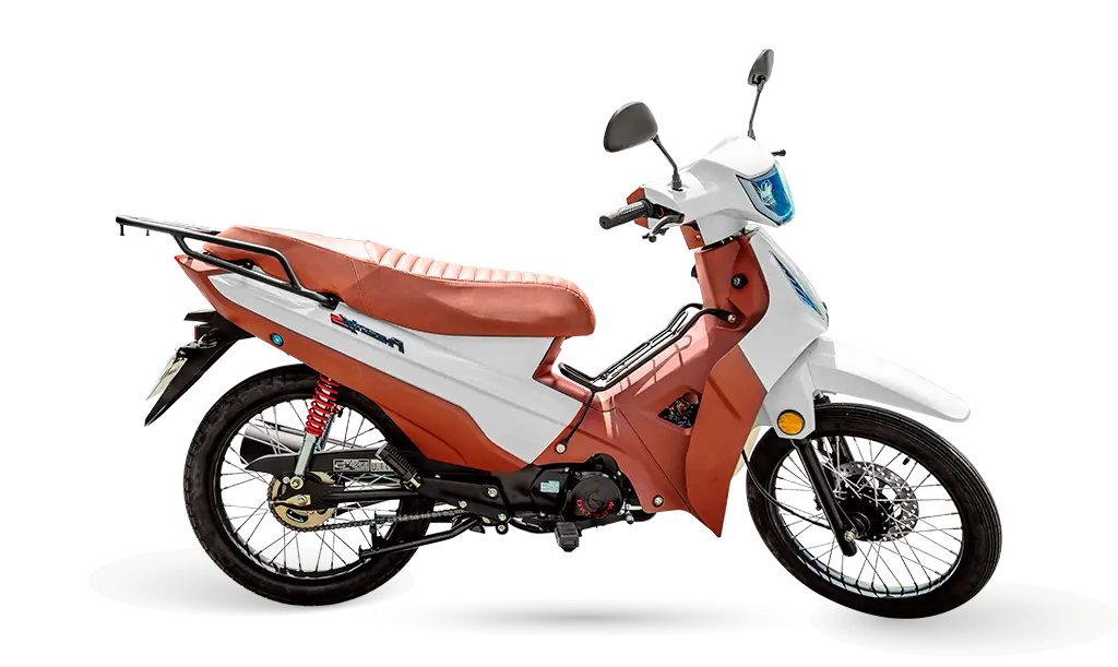 PHOENIX S