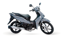 RIO 125 EFI